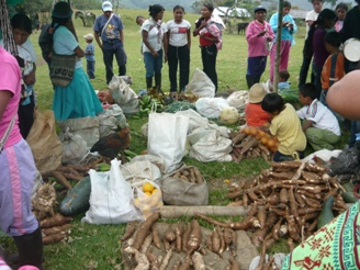 Intercambio de semillas y saberes en la vereda Guayope de Jambaló