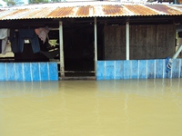 El Pueblo Wounaan está inundado, el mundo se está acabando