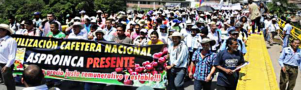 Cafeteros proponen Unidad por la Defensa del Agro