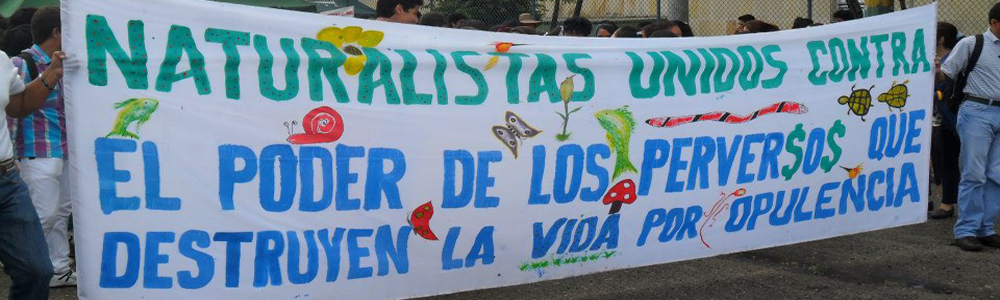 Tolima: Informar a la comunidad para defender la vida