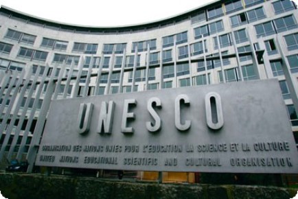Caso tala Araucarias: Solicitan intervención de la UNESCO ante el gobierno chileno