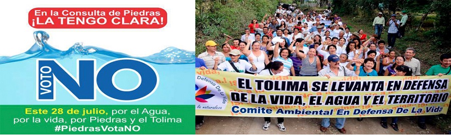 Foro regional ambiental del Tolima: saberes y luchas en defensa del territorio