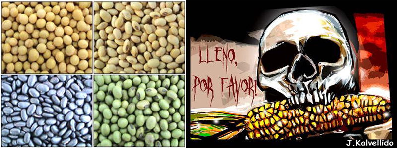 Las leyes que privatizan y controlan el uso de las semillas, criminalizan las semillas criollas