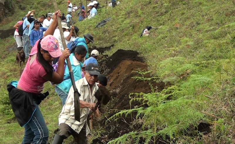 Cauca: Minga comunitaria una práctica ancestral de los pueblos en resistencia