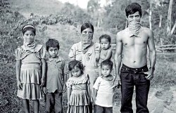 Especial: veinte años de insurrección zapatista