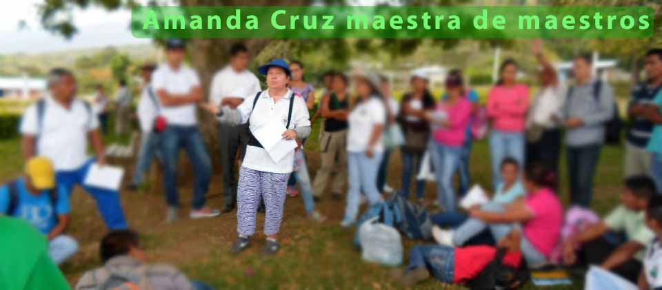 Homenaje al compromiso comunitario de Amanda Cruz, maestra de maestros