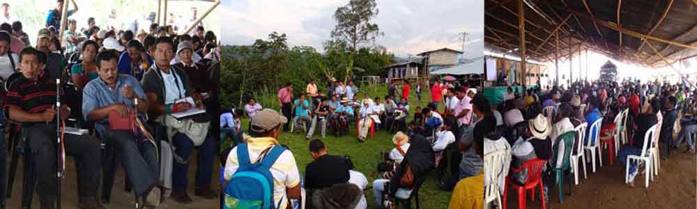 En junta directiva regional, autoridades indígenas del Cauca proyectan el caminar de los pueblos