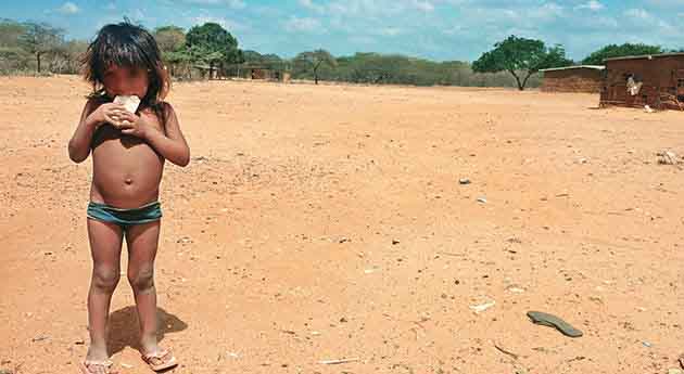 Alarma: en La Guajira hay 37.000 niños desnutridos